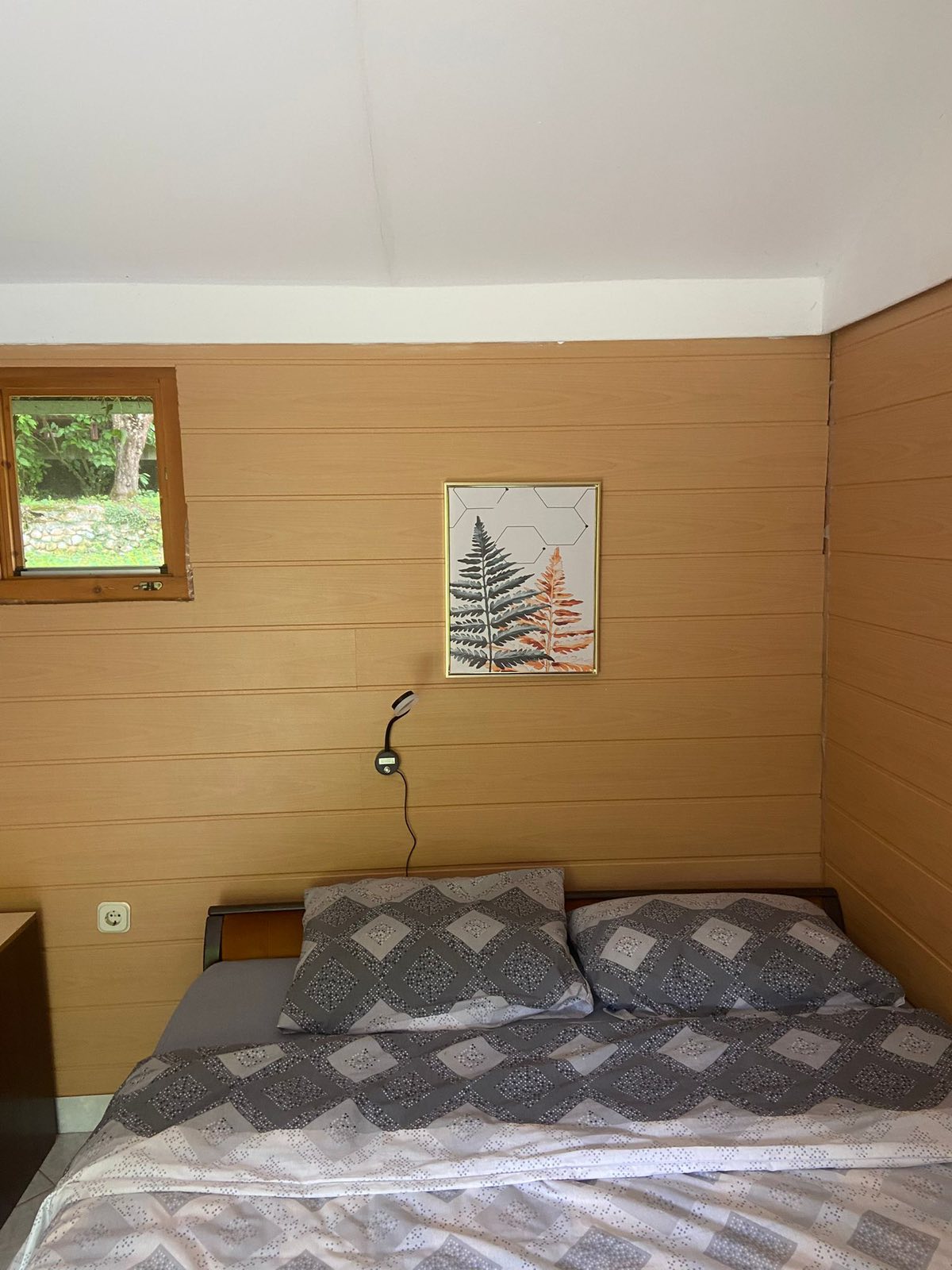 Accommodation photo 3