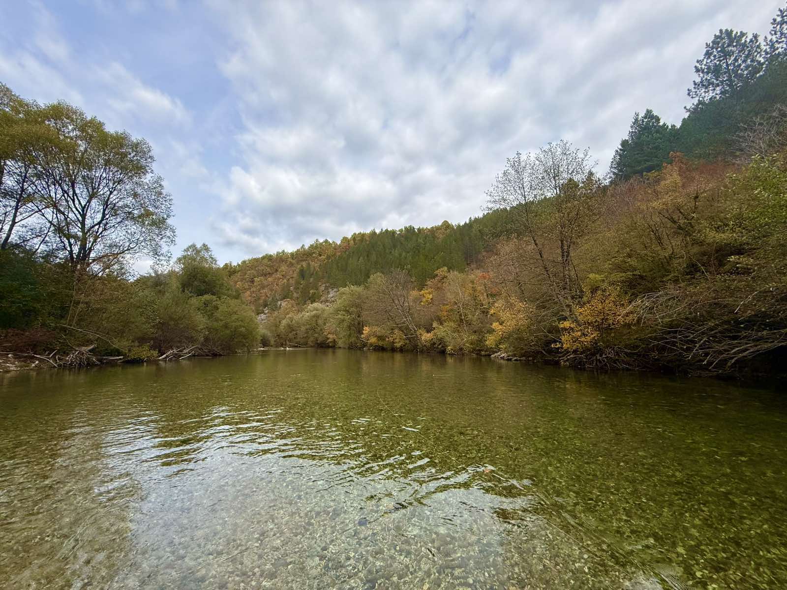 River scenery
